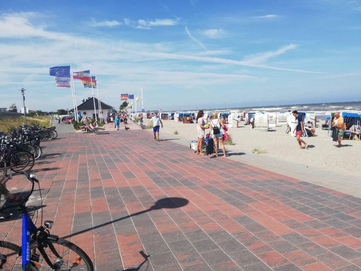 Wohnung Nixe Mit Meerblick - Haus Hopp Dahme  Eksteriør billede